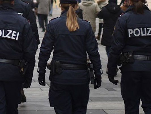 Ein Ladendieb wurde in der Wiener City gefasst
