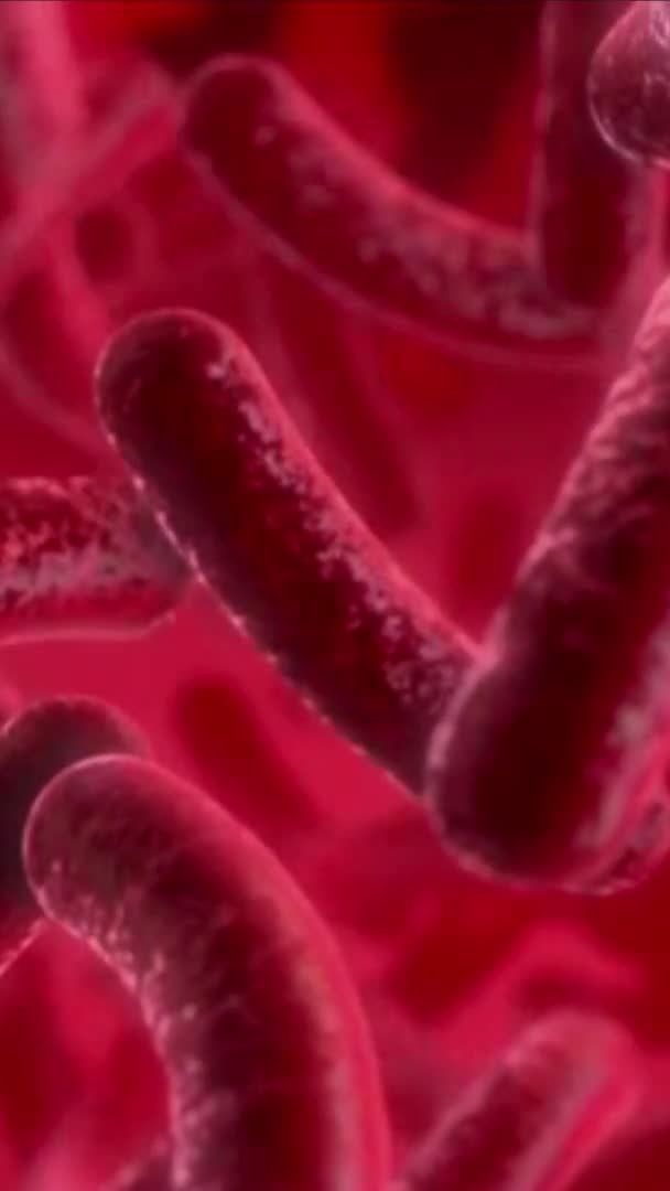 An welchen Körperstellen sind die meisten Bakterien?