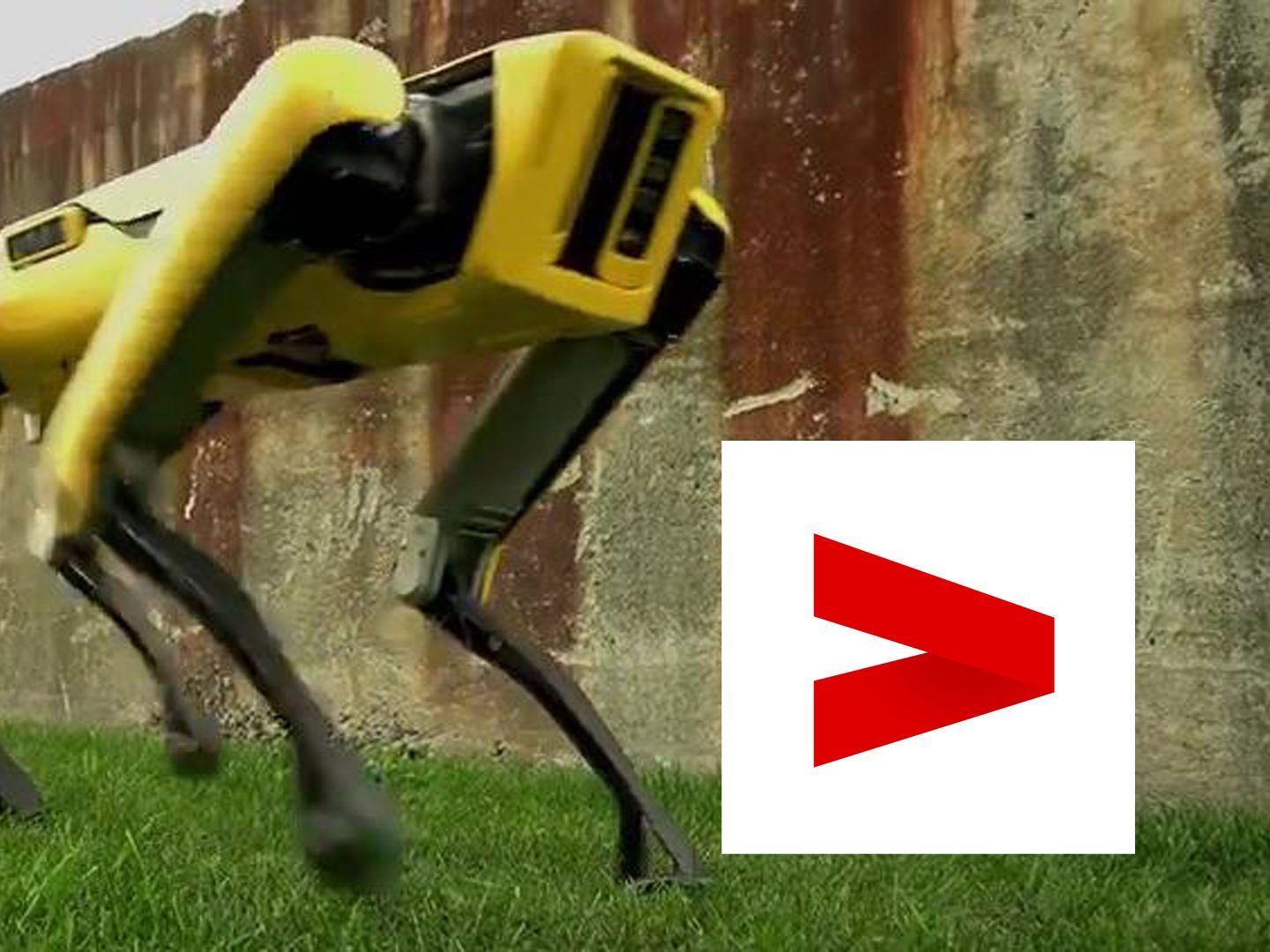 Hunderoboter begeistert das Netz.