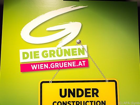 Die Grünen erhalten doch noch etwas Geld Die Grünen erhalten doch noch etwas Geld