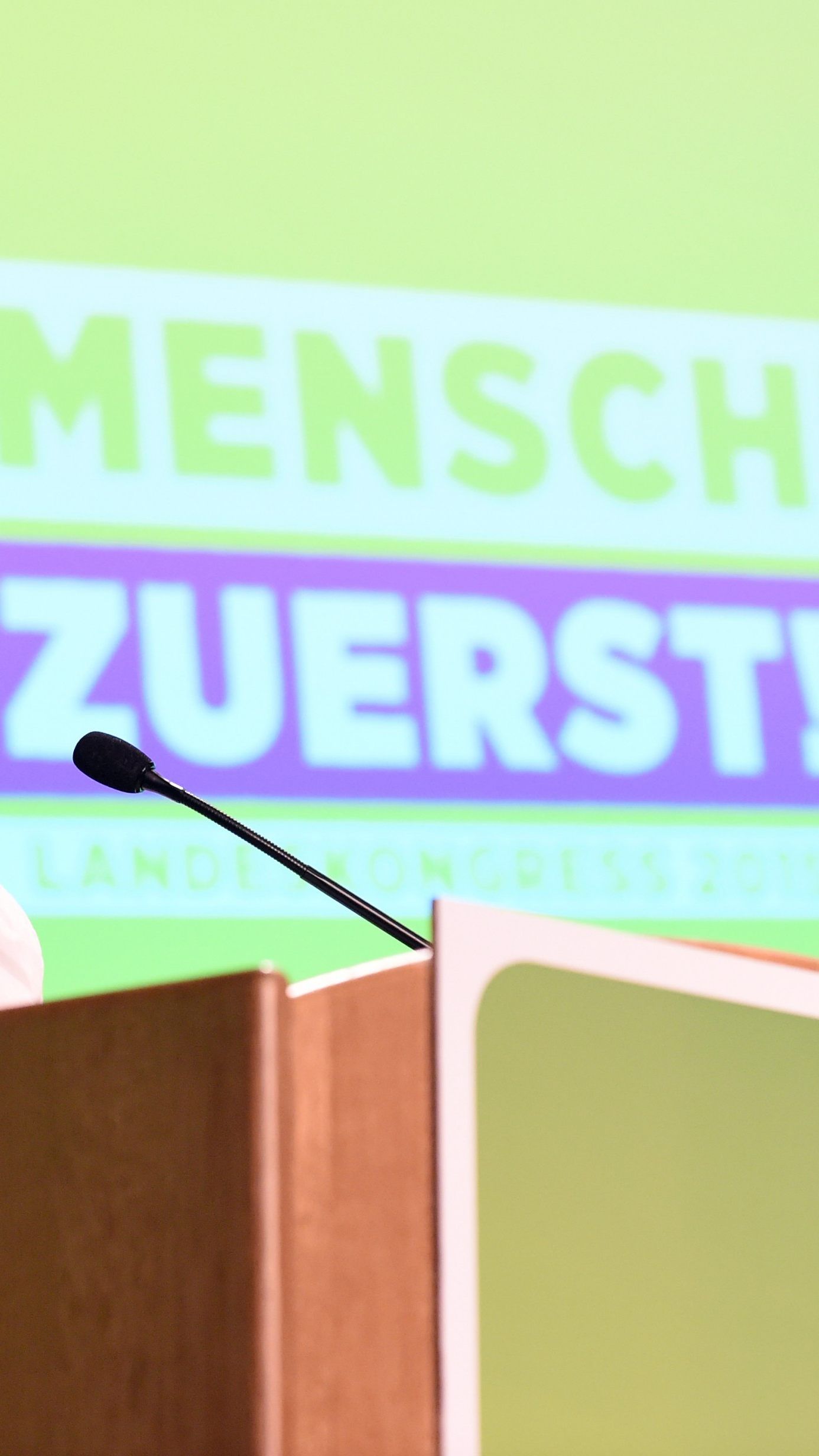 Helga Krismer ist das Gesicht des Landtagswahlkampfes der Grünen in Niederösterreich