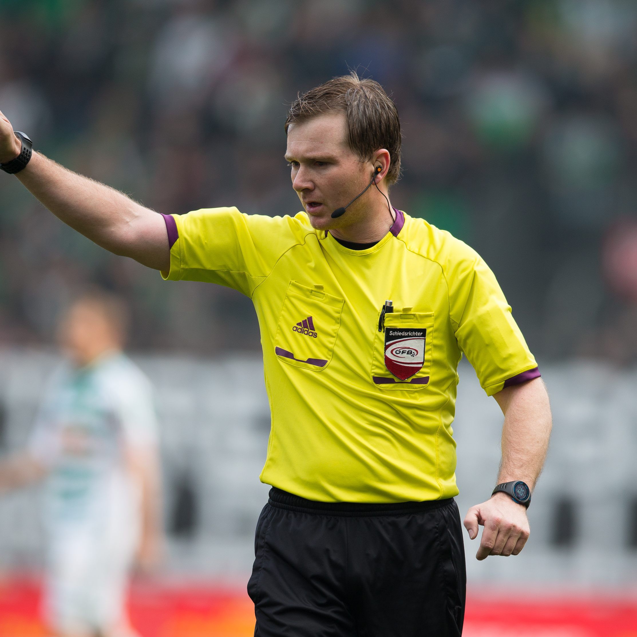 Schiedsrichter Muckenhammer hatte Rapid Wien-Kapitän Schwab Charakterlosigkeit vorgeworfen.