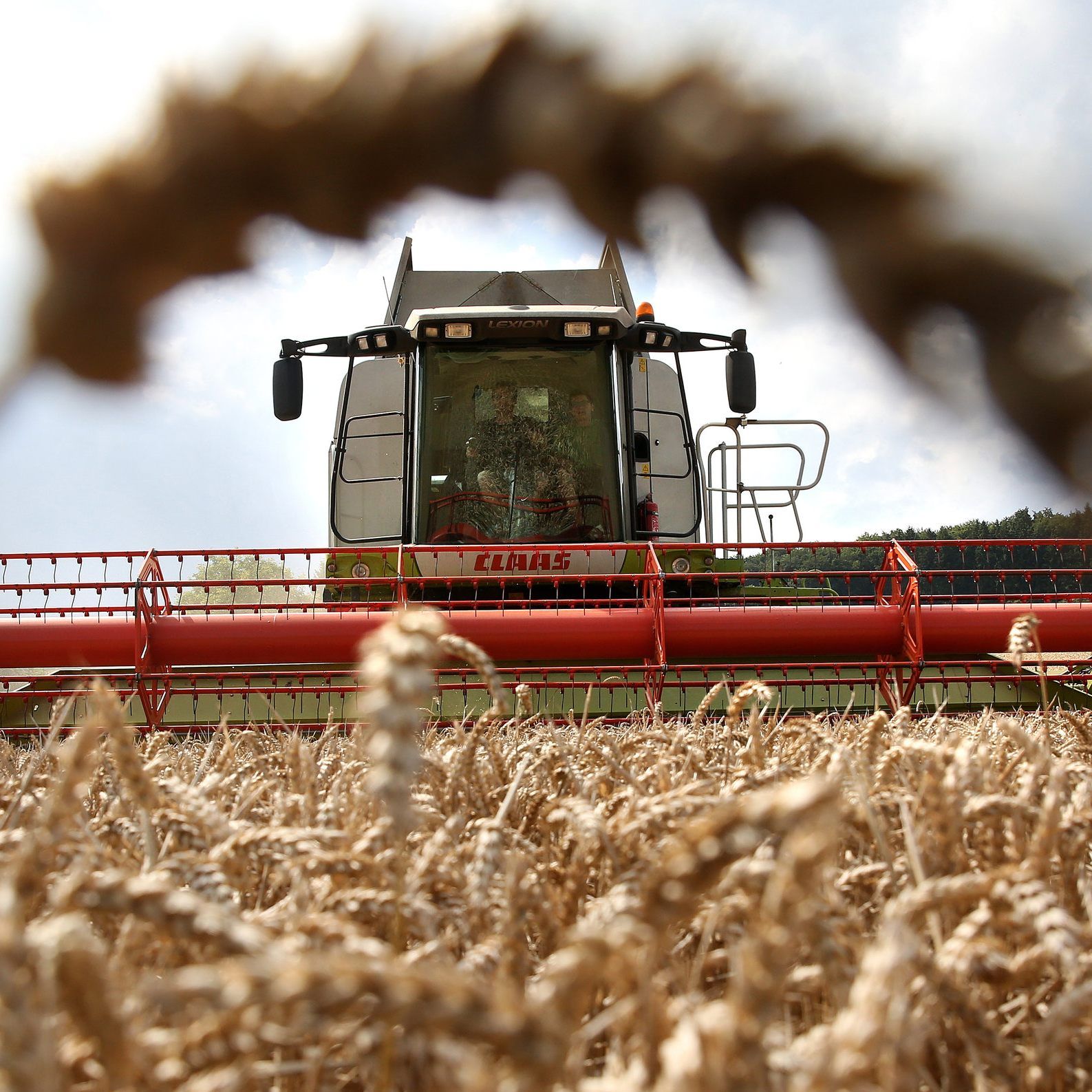 Die österreichischen Bauern bangen um ihren Markt.