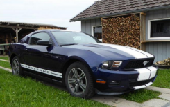 mustang