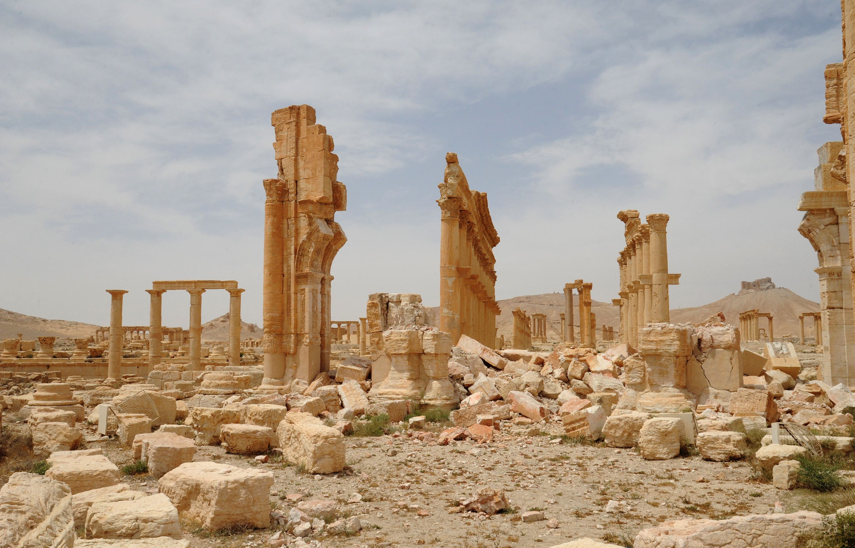 Palmyra Palmyra