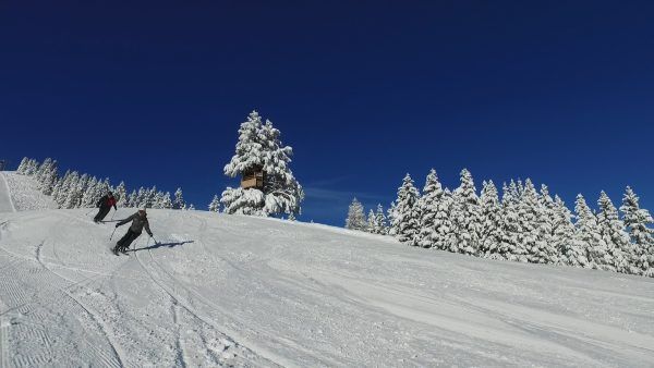 skibild skibild