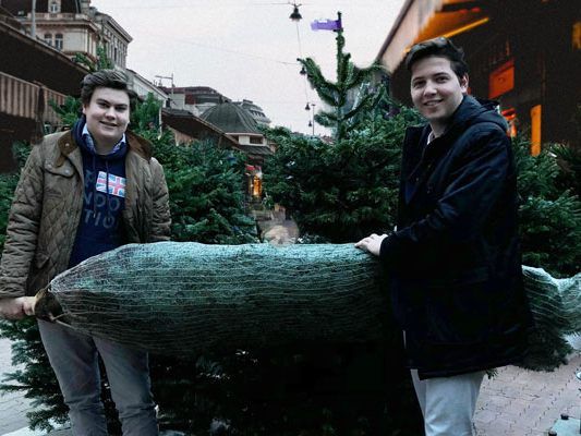 Wer es sich leicht machen will, lässt sich seinen Christbaum günstigst liefern