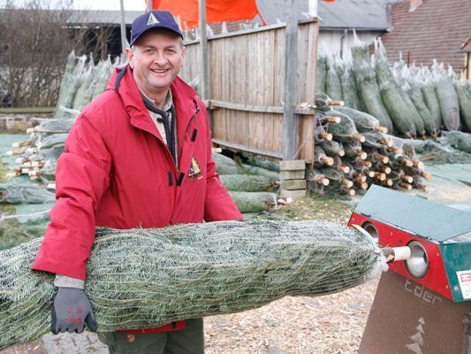 Die Christbaumbauern freuen sich über gute Geschäfte. Die Christbaumbauern freuen sich über gute Geschäfte.