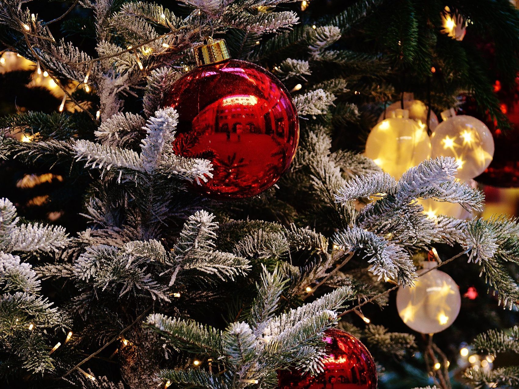 Christbäume werden heuer überwiegend rot geschmückt und elektrisch beleuchtet