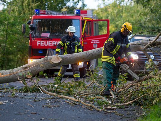 Umgestürzte Bäume mussten von der Feuerwehr entfernt werden. Umgestürzte Bäume mussten von der Feuerwehr entfernt werden.