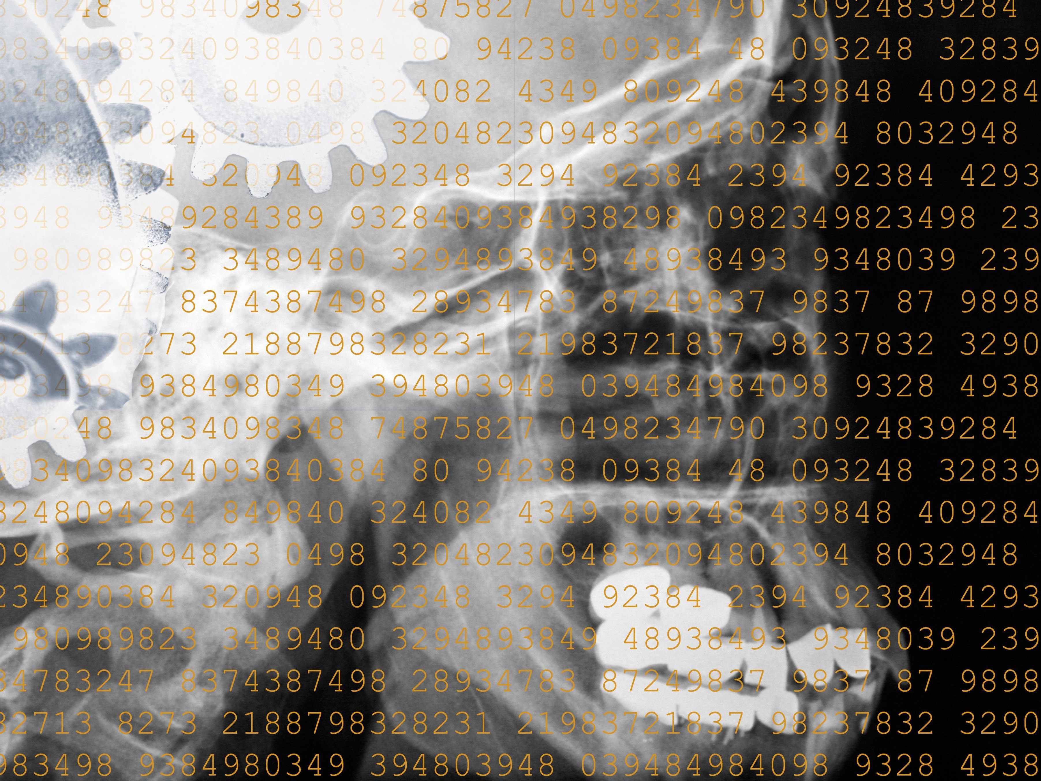 Wie gut ist dein Gedächtnis?