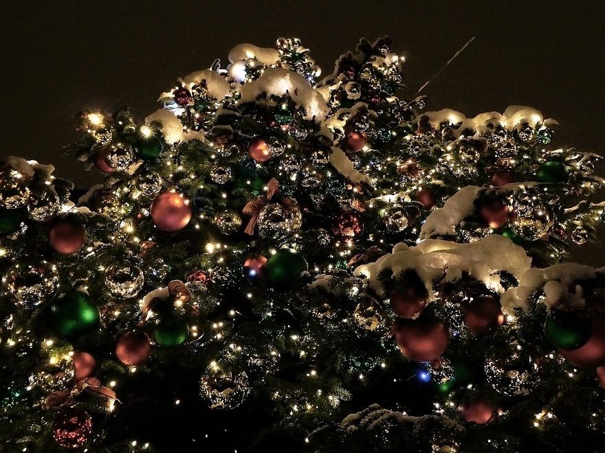 Die Grand Christmas Gala findet wieder in Wien statt. Die Grand Christmas Gala findet wieder in Wien statt.