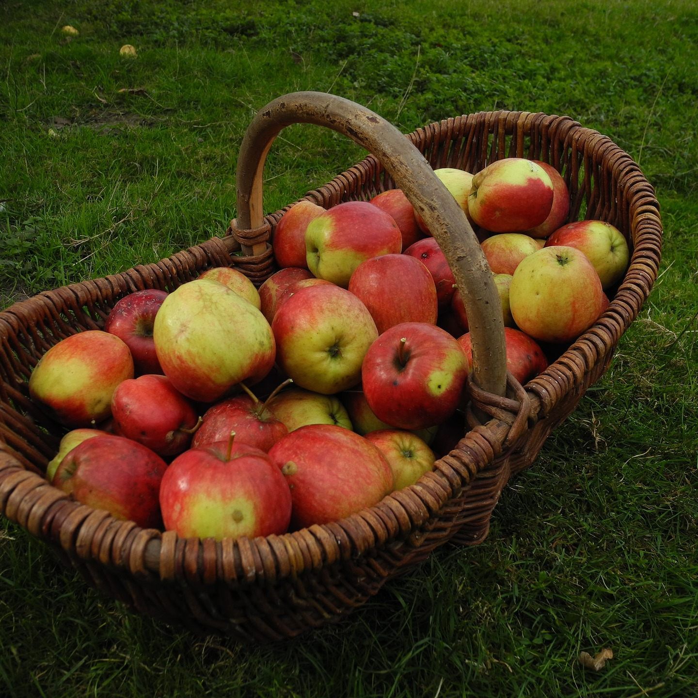 Wegen der schlechten Ernte werden die Preise für Apfelsaft erhöht.