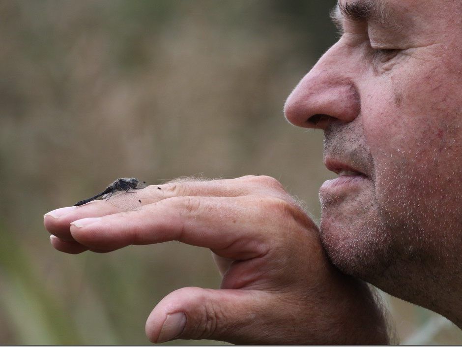 Internationale Bühne für den fünffachen Landesmeister Luggi Knobel