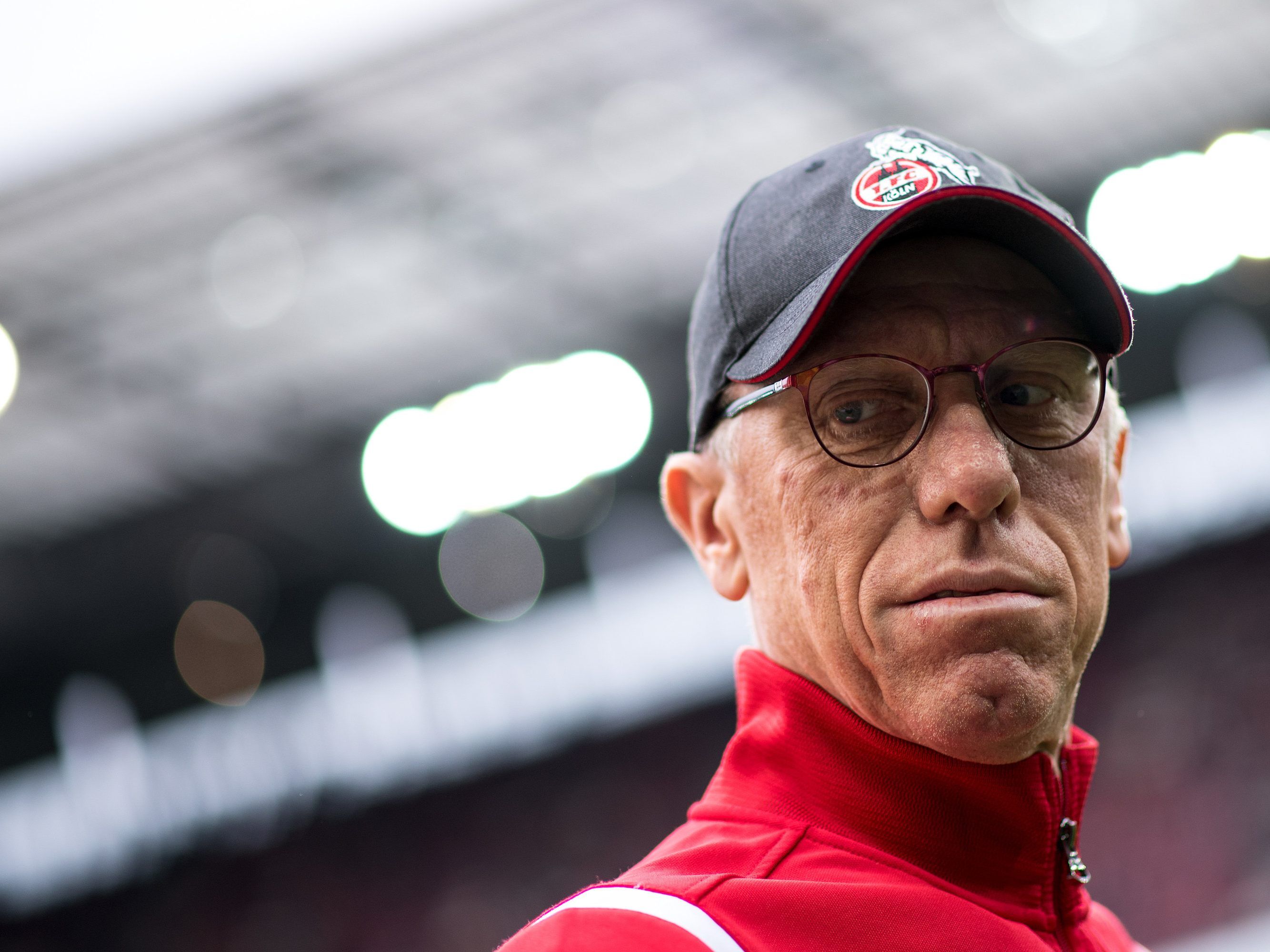 Peter Stöger wird neuer Trainer bei Borussia Dortmund.