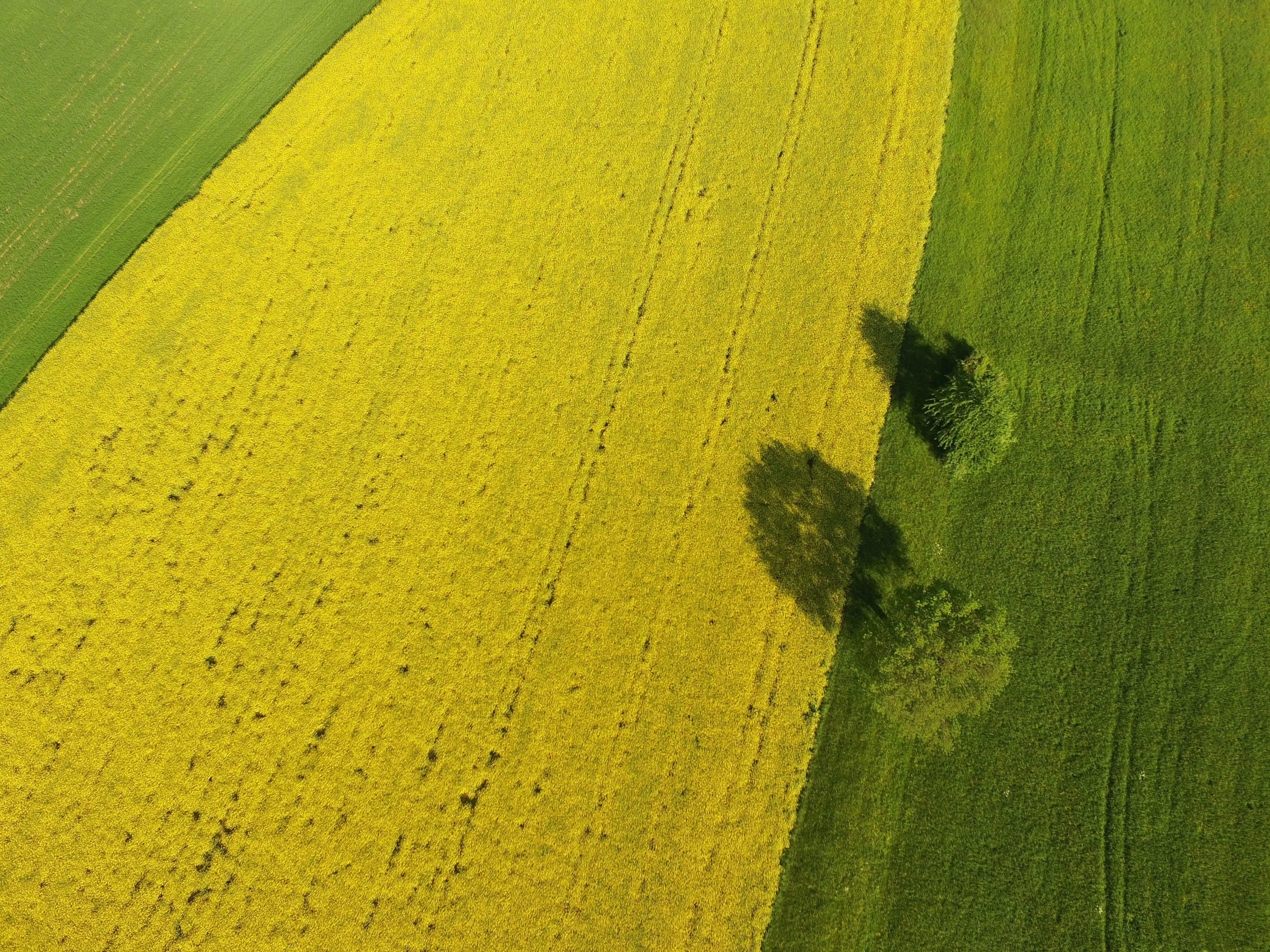 Das planen ÖVP/FPÖ bei den Themen Umwelt und Energie.