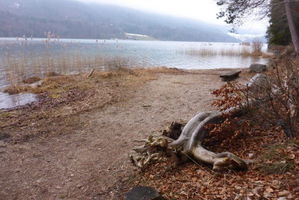 Fuschlsee Fuschlsee