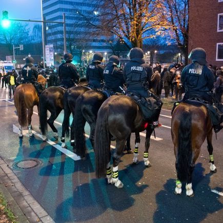 Die geplante Polizeipferdestaffel in Wien sorgt weiter für Diskussionen und Kritik.