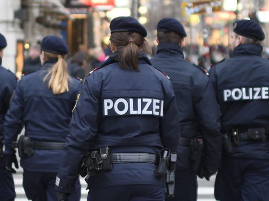 Die anwesenden Polizisten mussten bei der Kundgebung einschreiten.