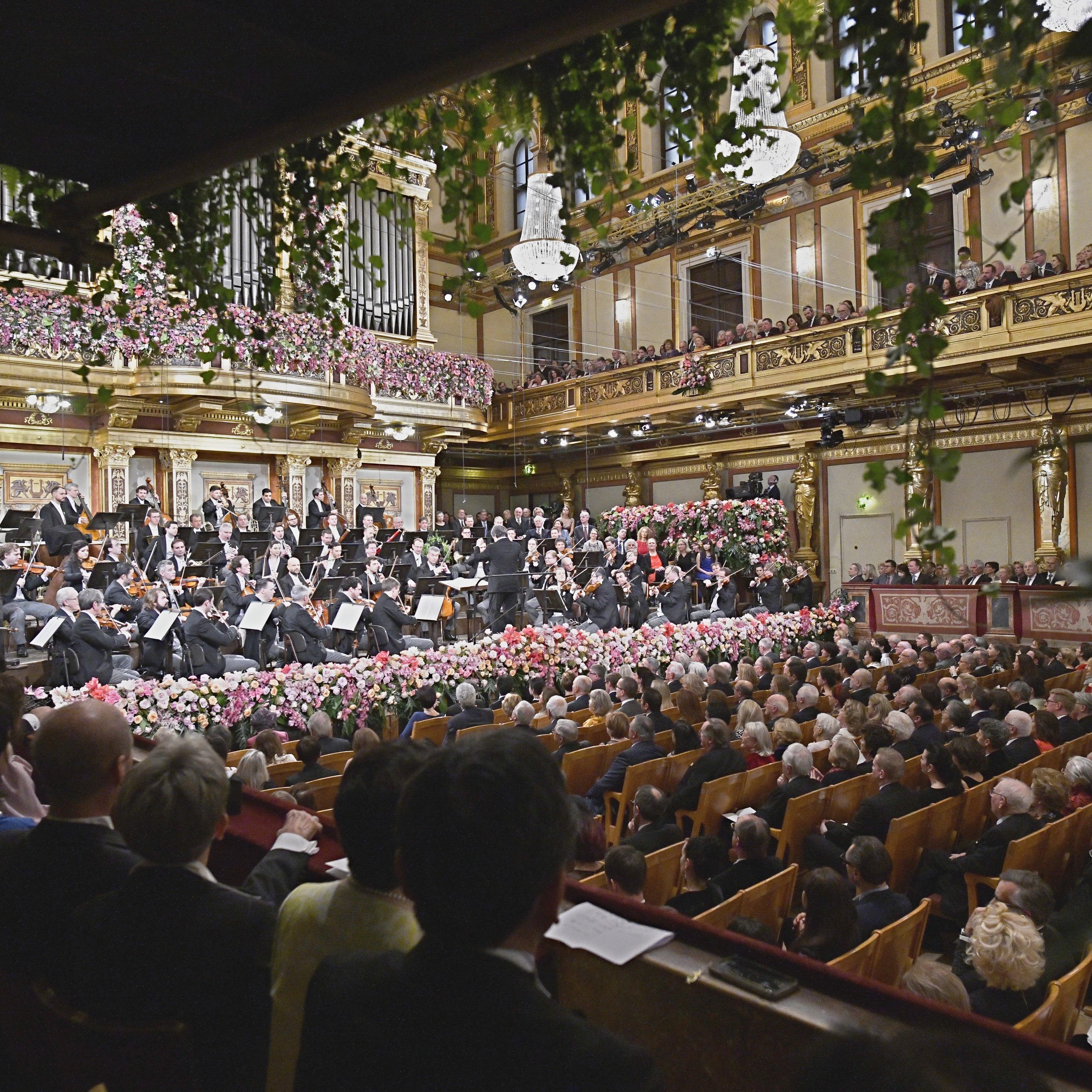 Forscher wollen eine interaktive, musikalische Landkarte für Wien erstellen.