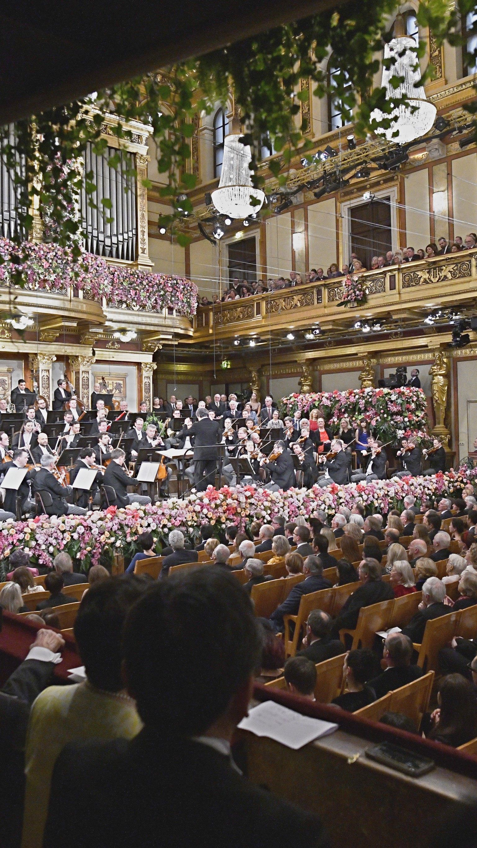 Forscher wollen eine interaktive, musikalische Landkarte für Wien erstellen.