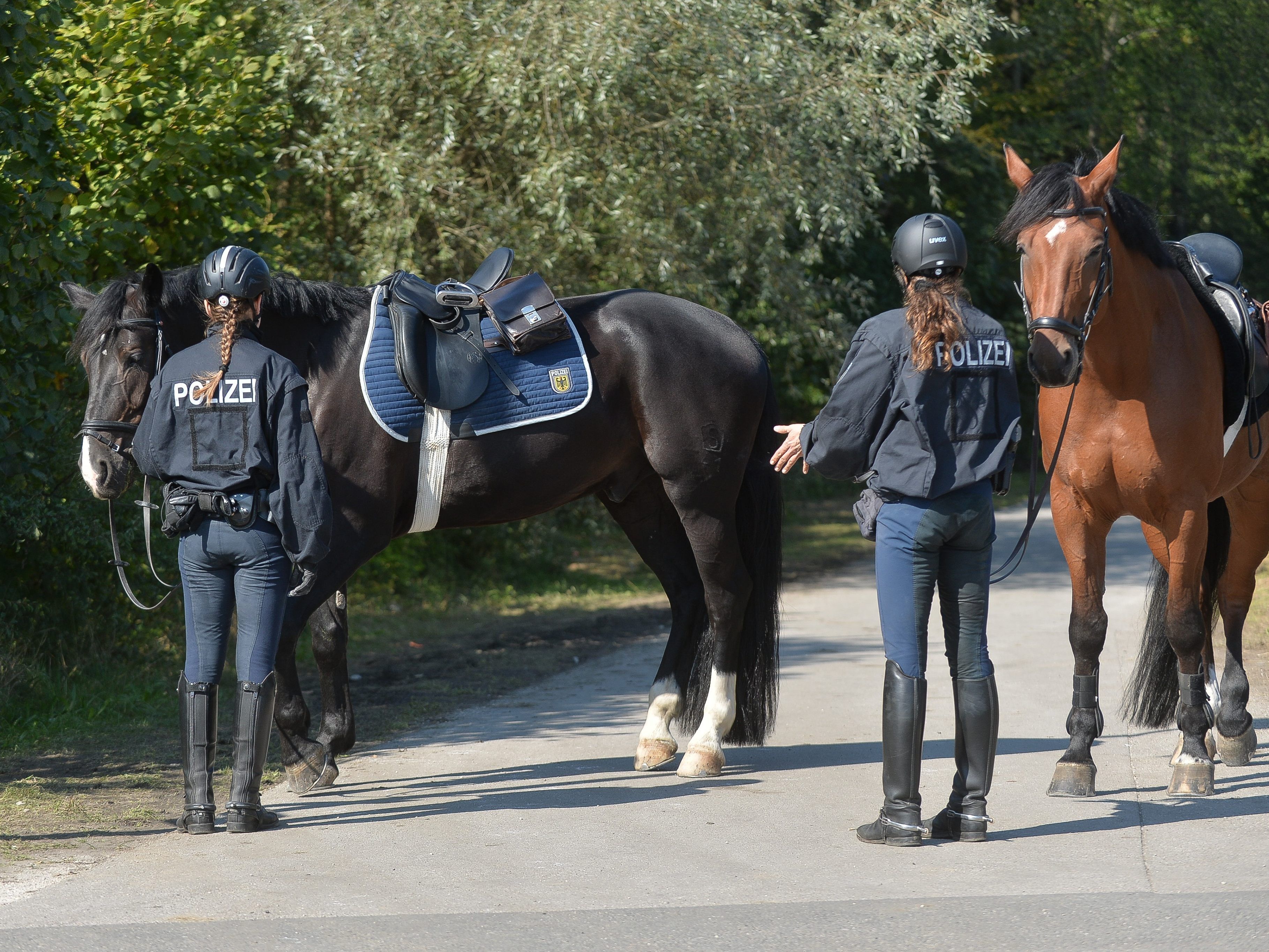 In Deutschland bereits Realität: die berittene Polizei In Deutschland bereits Realität: die berittene Polizei