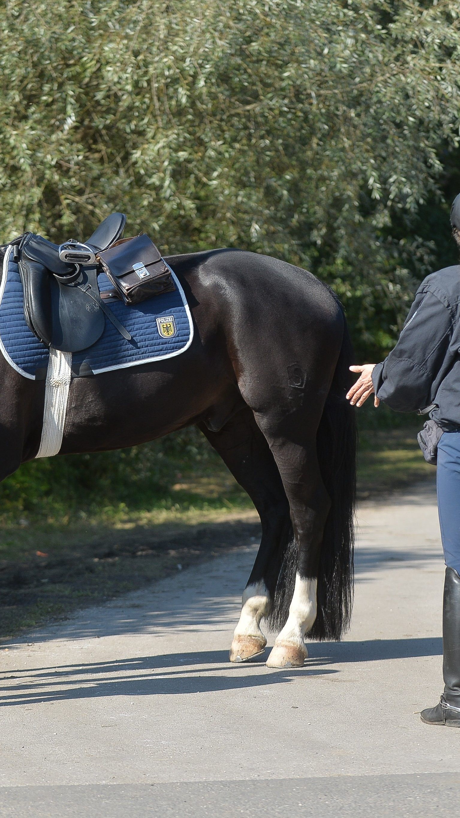 In Deutschland bereits Realität: die berittene Polizei