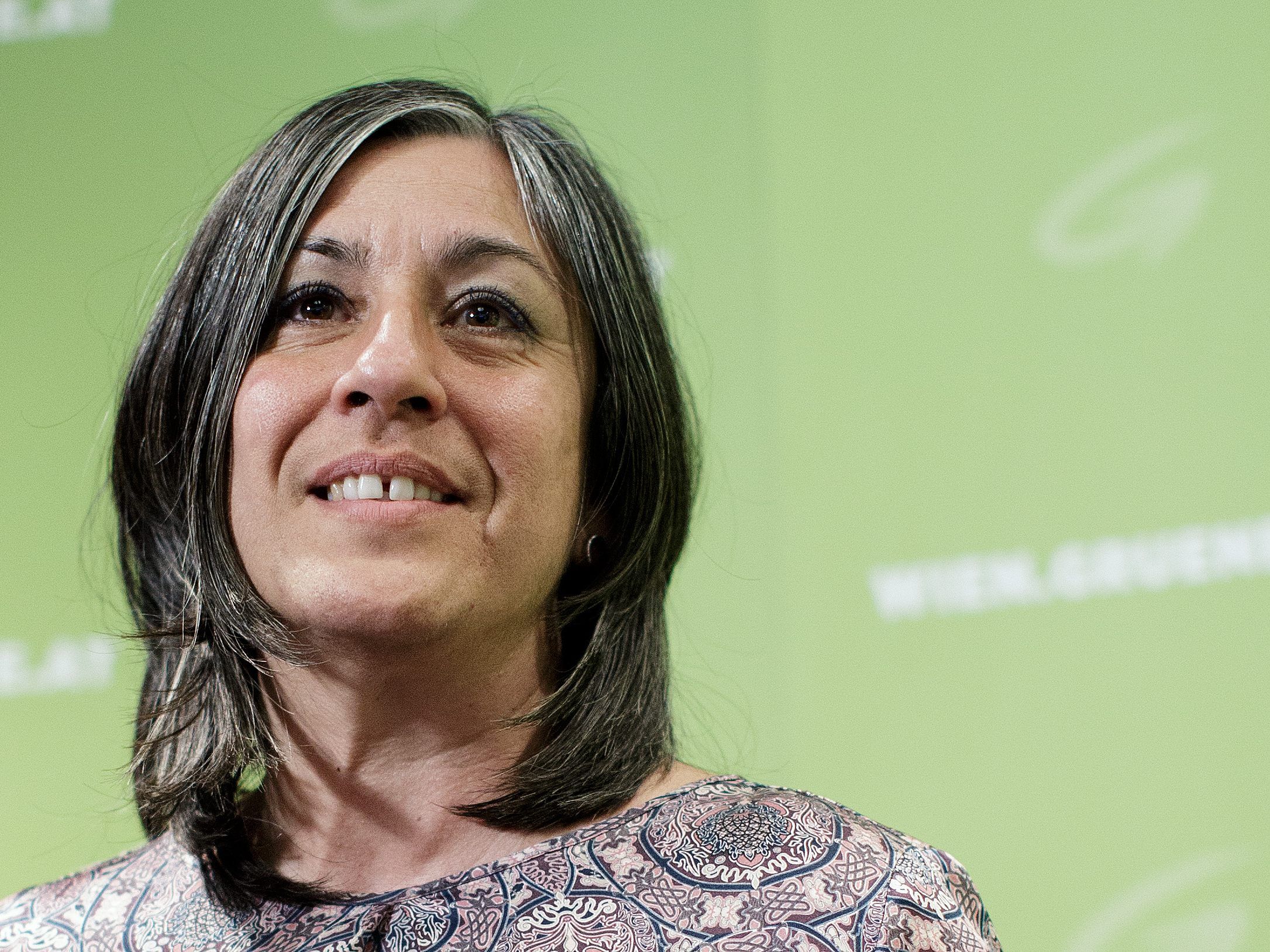 Vassilakou kündigt Öffnung trotz City-Befragung an Vassilakou kündigt Öffnung trotz City-Befragung an