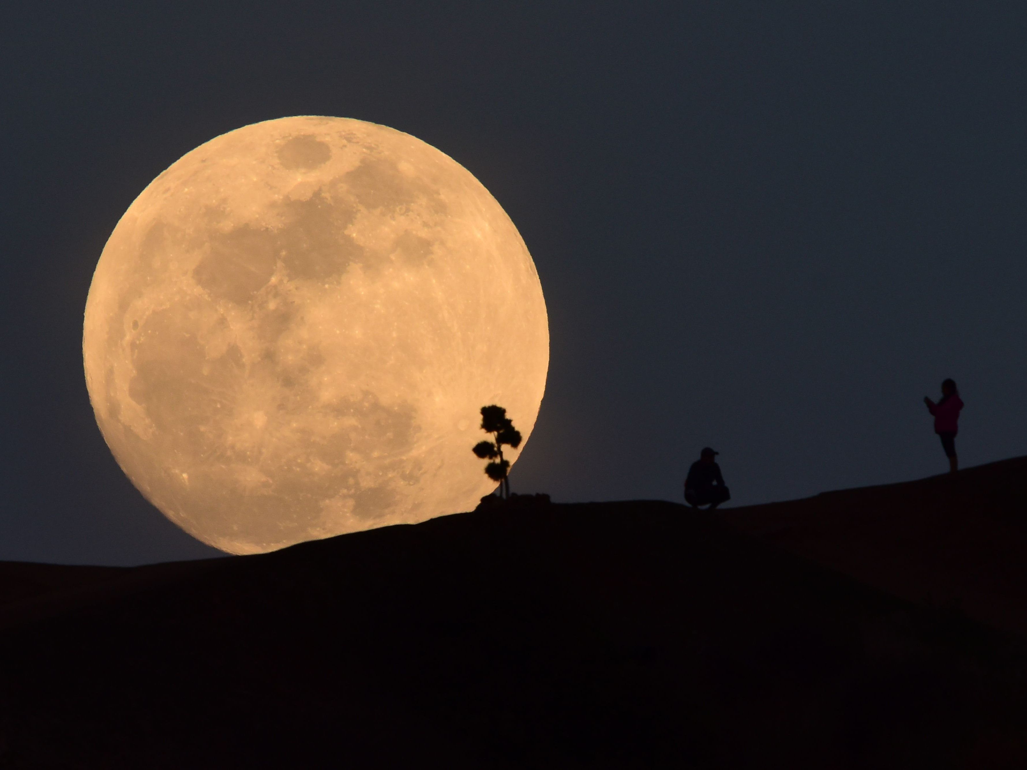 Mond-Spektakel in der letzten Januar-Nacht