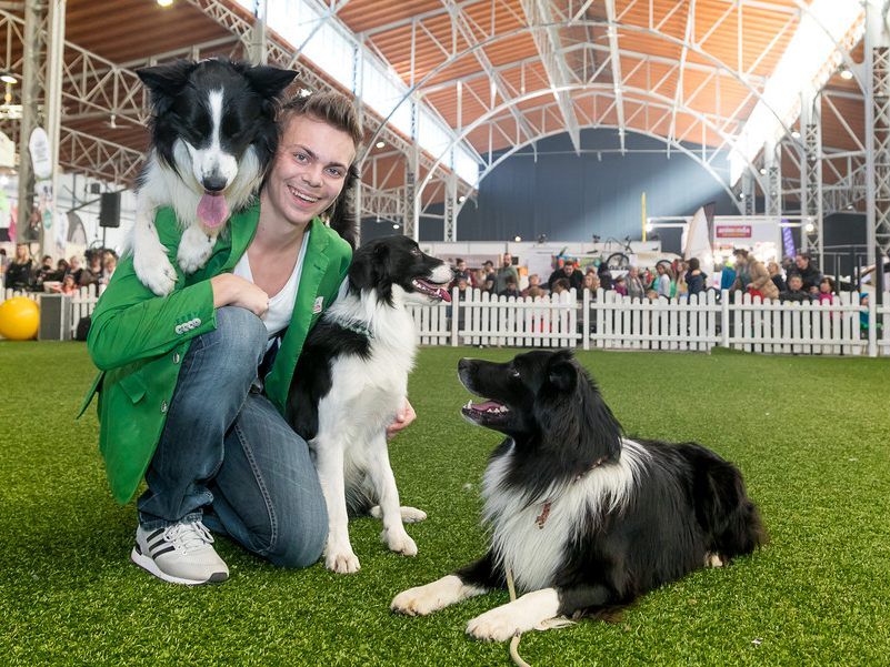 Teil es Programms: Supertalent Lukas und Falco. Teil es Programms: Supertalent Lukas und Falco.