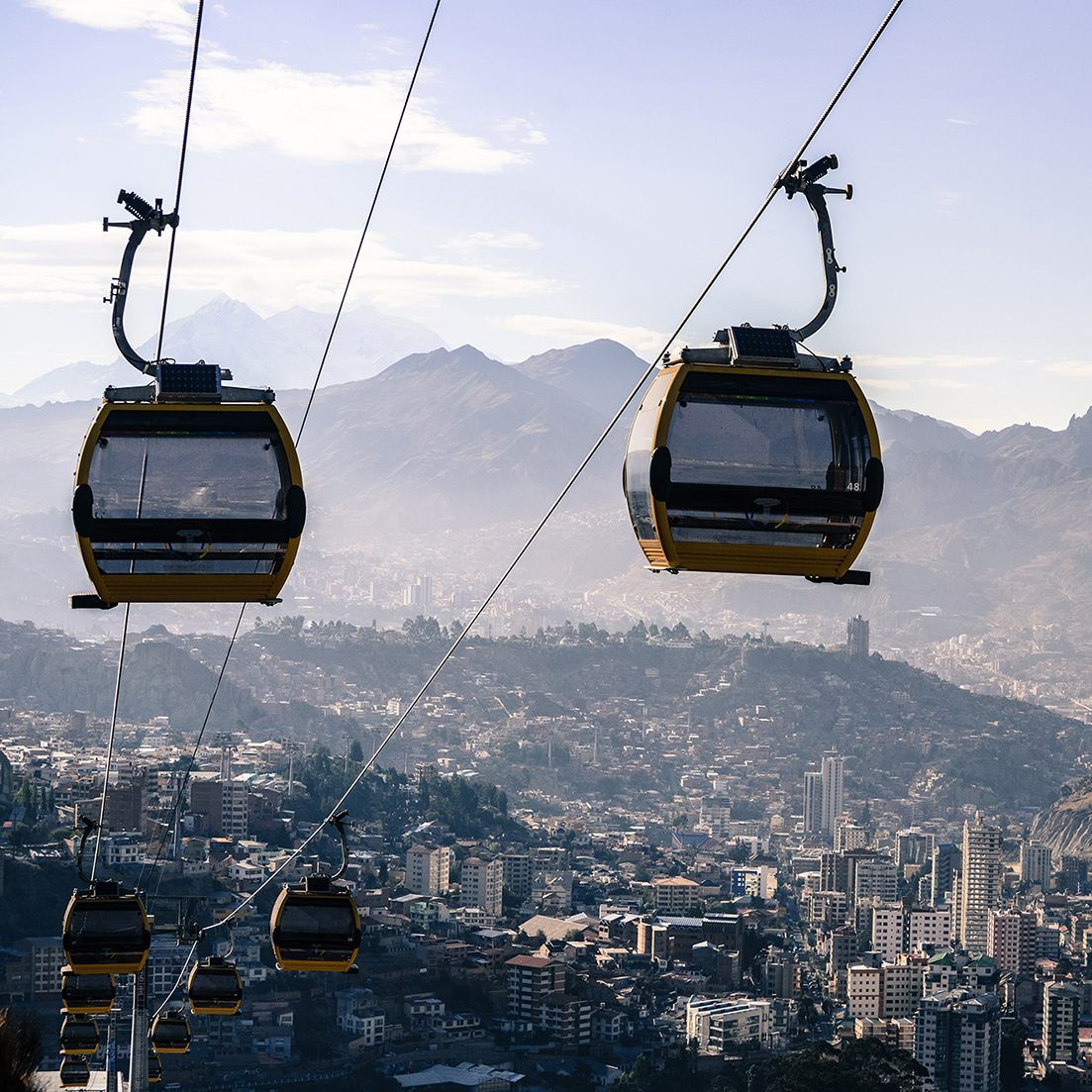 Zwei neue Linien werden Anfang März eröffnet.