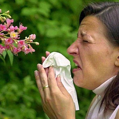 pollen_dpaDie Pollen fliegen wieder - und die Allergiker leiden