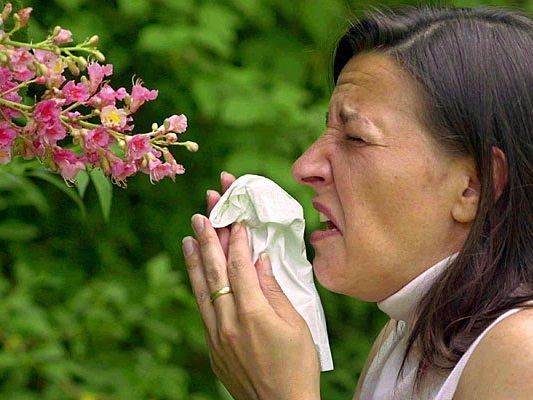 pollen_dpaDie Pollen fliegen wieder - und die Allergiker leiden