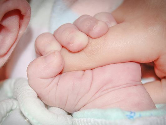 Es gibt verschiedene Auslöser, die zu Bluttaten innerhalb von Familien führen können.
