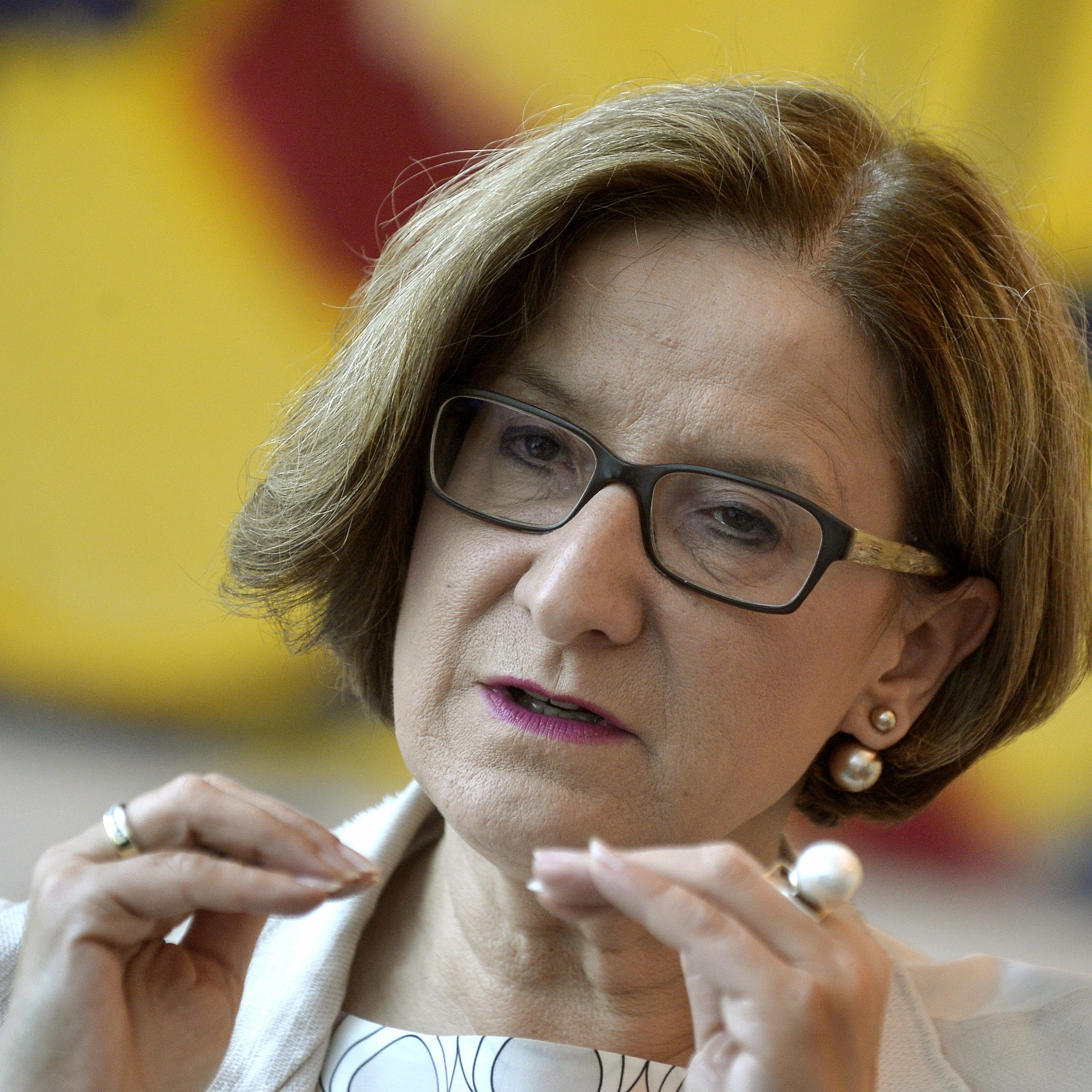 Der Intensivwahlkampf vor der Landtagswahl in Niederösterreich startet.