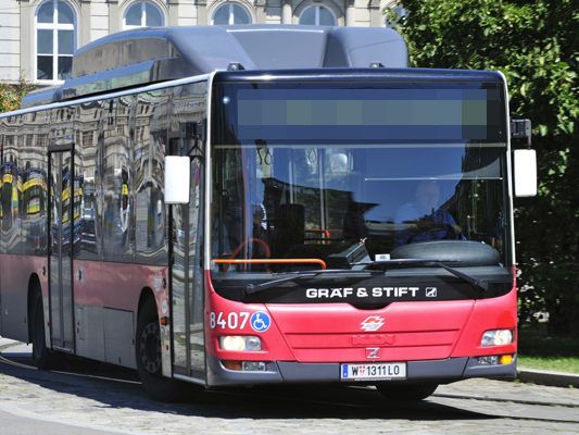 Die Festgenommenen sollen für mehrere Einbruchdelikte verantworlich sein.