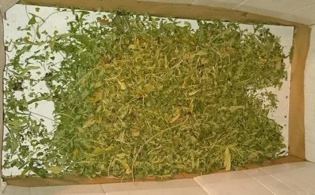 Hauptsächlich Cannabis wurde von den Dealern verkauft. Hauptsächlich Cannabis wurde von den Dealern verkauft.