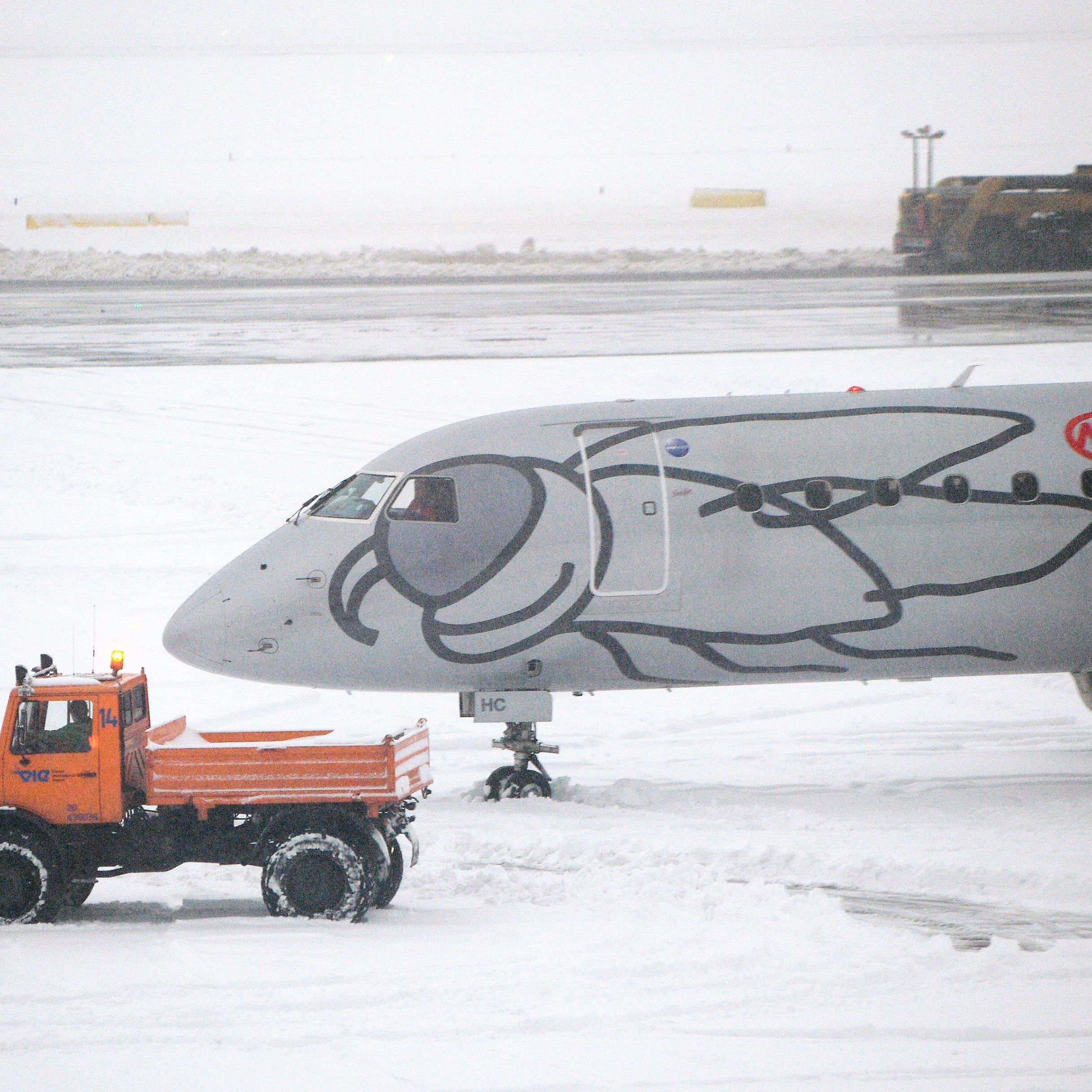 Die Flieger der Fluglinie Niki bleiben wohl bis mindestens März am Boden.