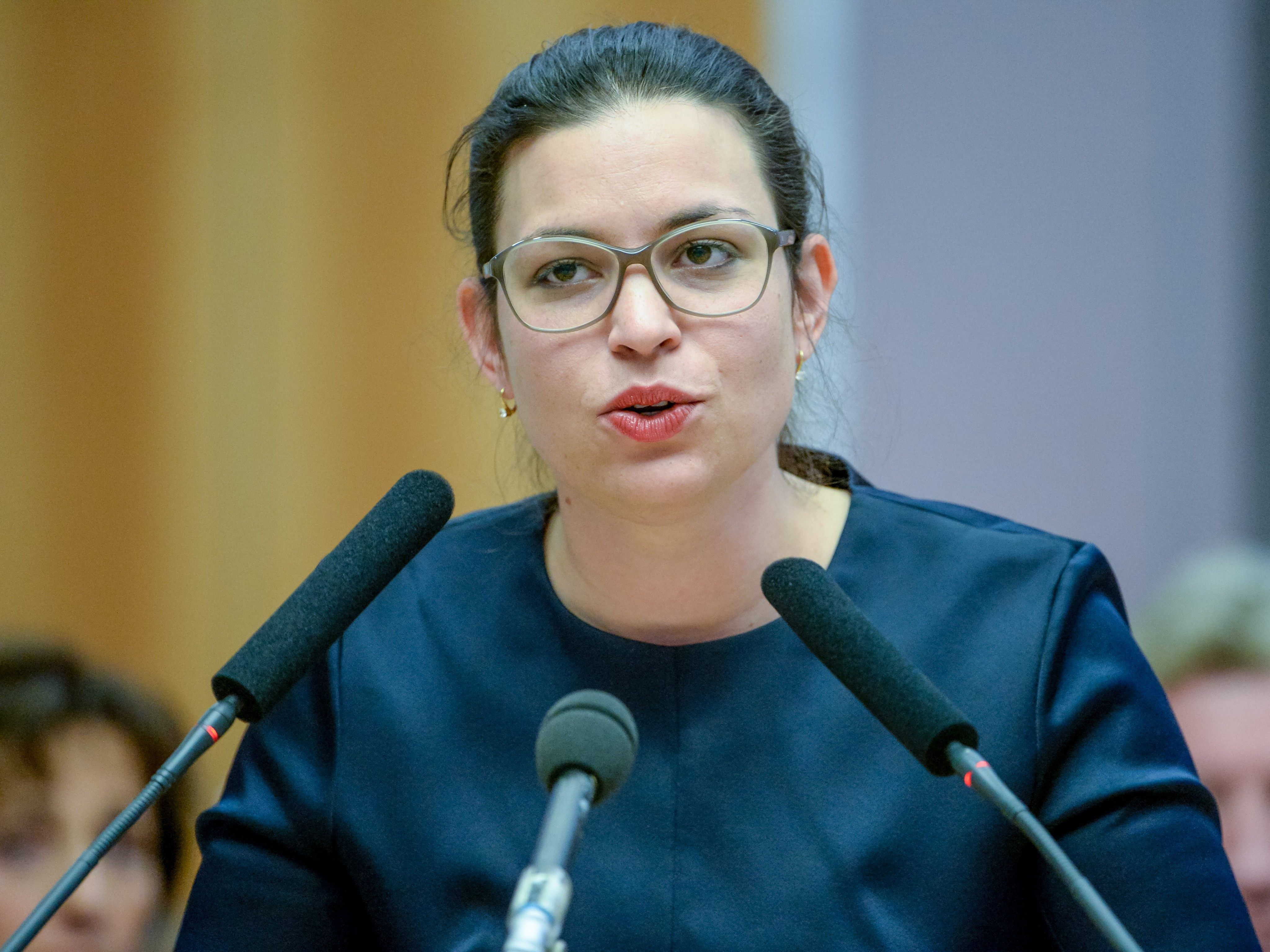 Die Grünen fordern Bodenfonds, um leistbares Wohnen sicherzustellen.