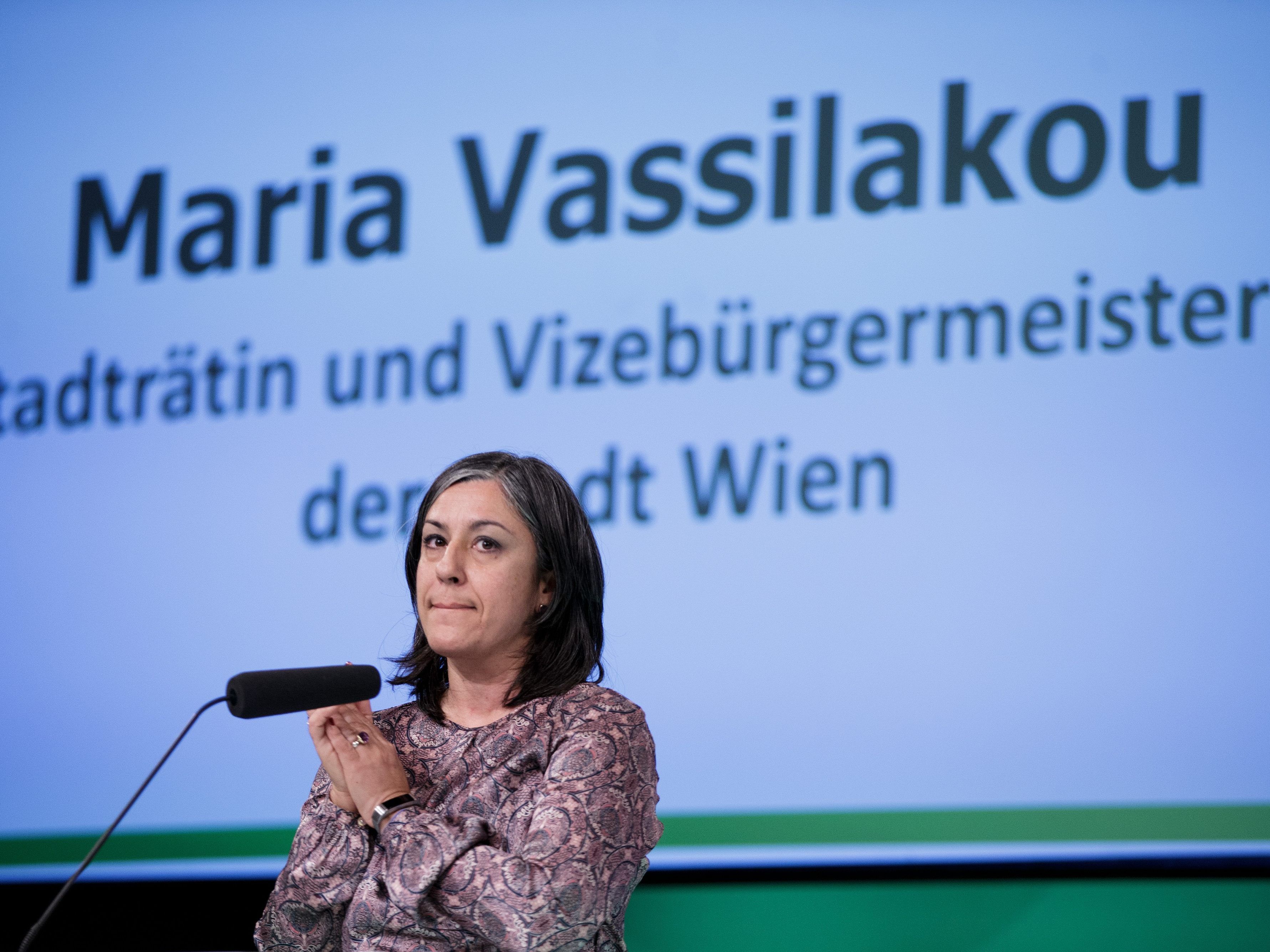 Vizebürgermeisterin Vassilakou will auf den ersten Entwurf der Architekten warten. Vizebürgermeisterin Vassilakou will auf den ersten Entwurf der Architekten warten.