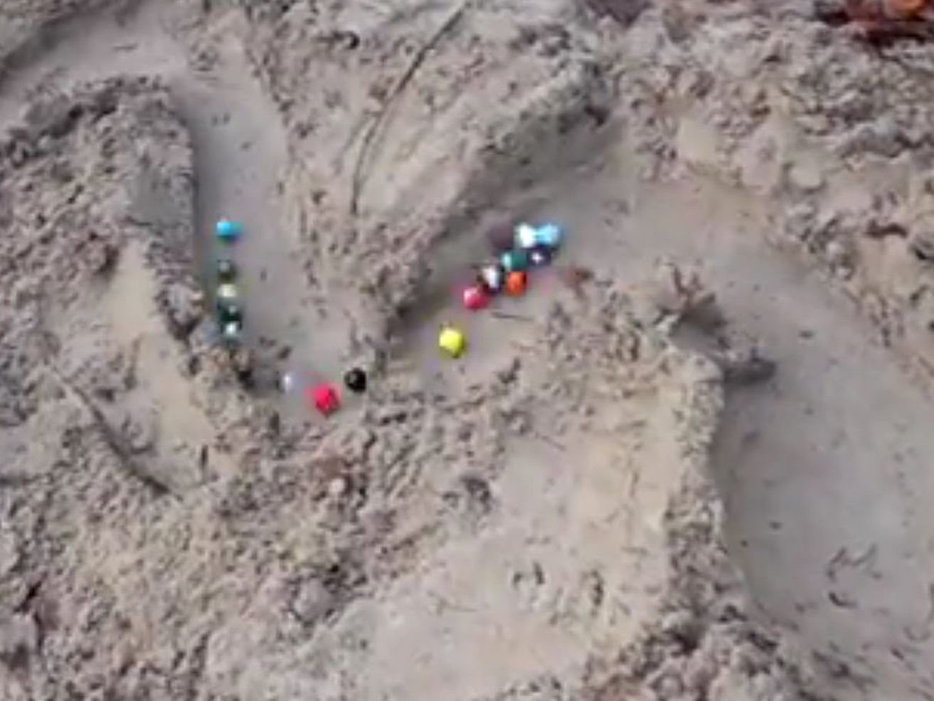 Wer hat am Ende die Nase vorn: "Slimer" oder "Lollipop"?