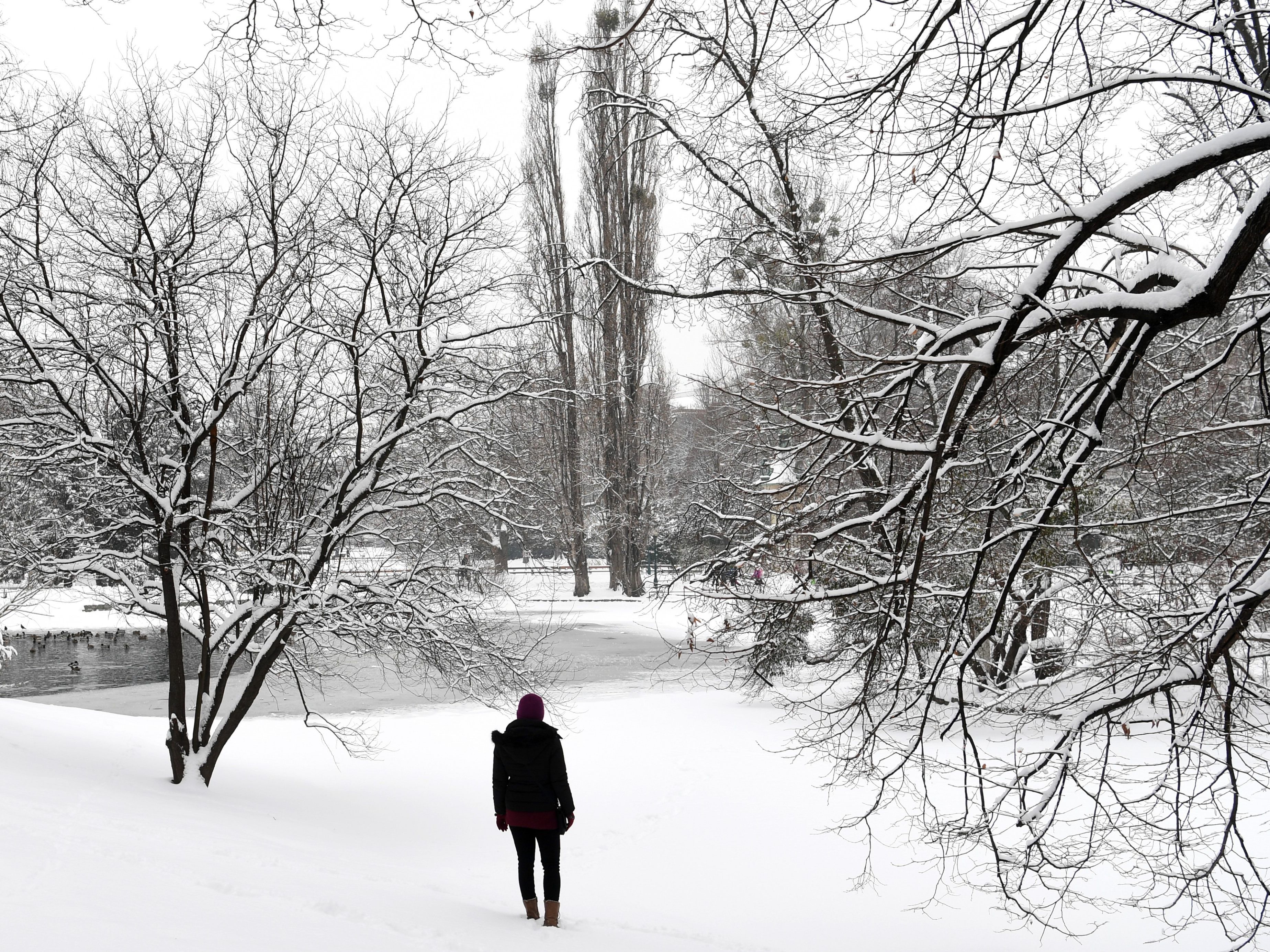 Das Wochenend-Wetter in Wien wird winterlich - eine schöne Alliteration. Das Wochenend-Wetter in Wien wird winterlich - eine schöne Alliteration.