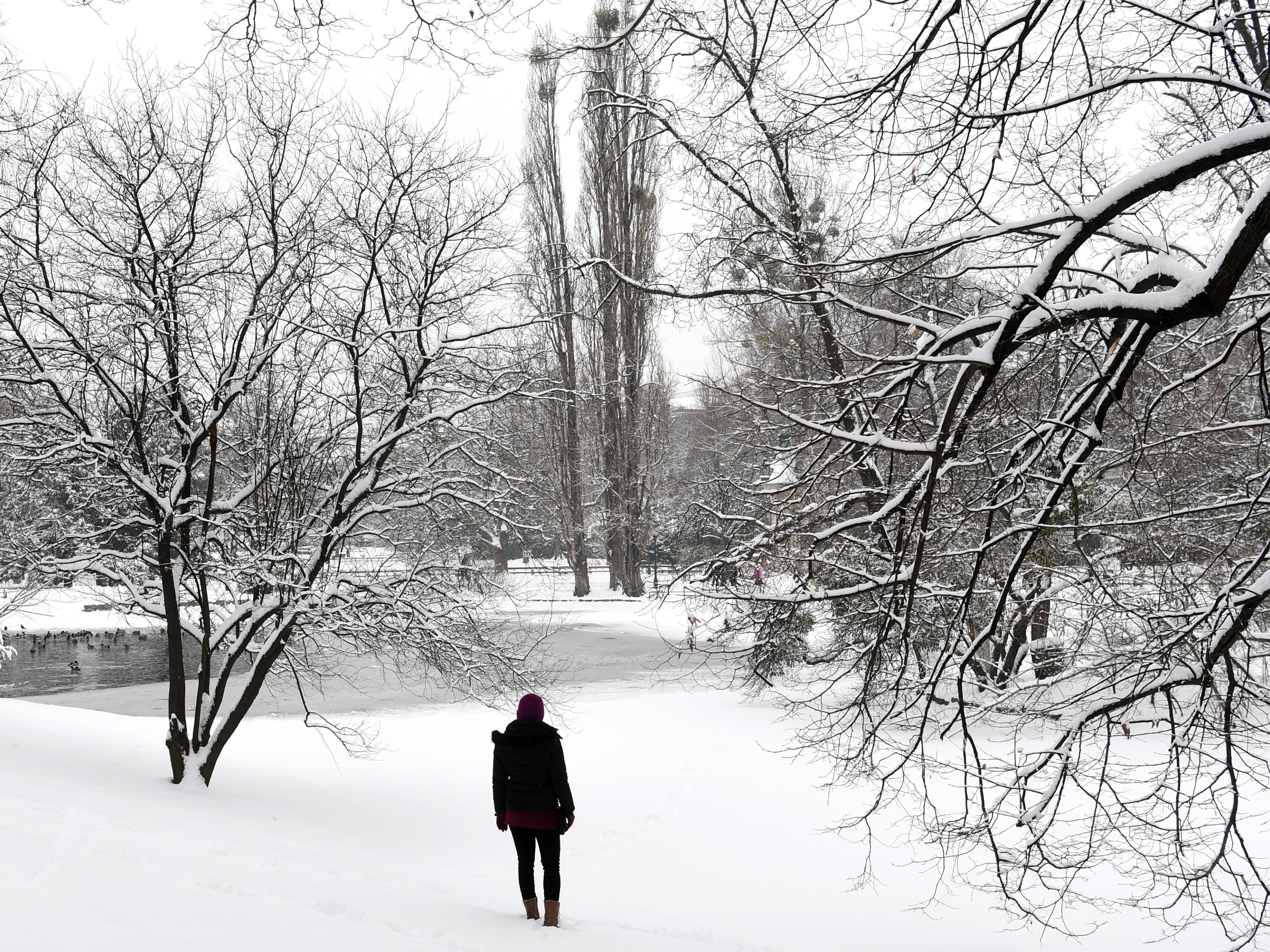 Das Wochenend-Wetter in Wien wird winterlich - eine schöne Alliteration.