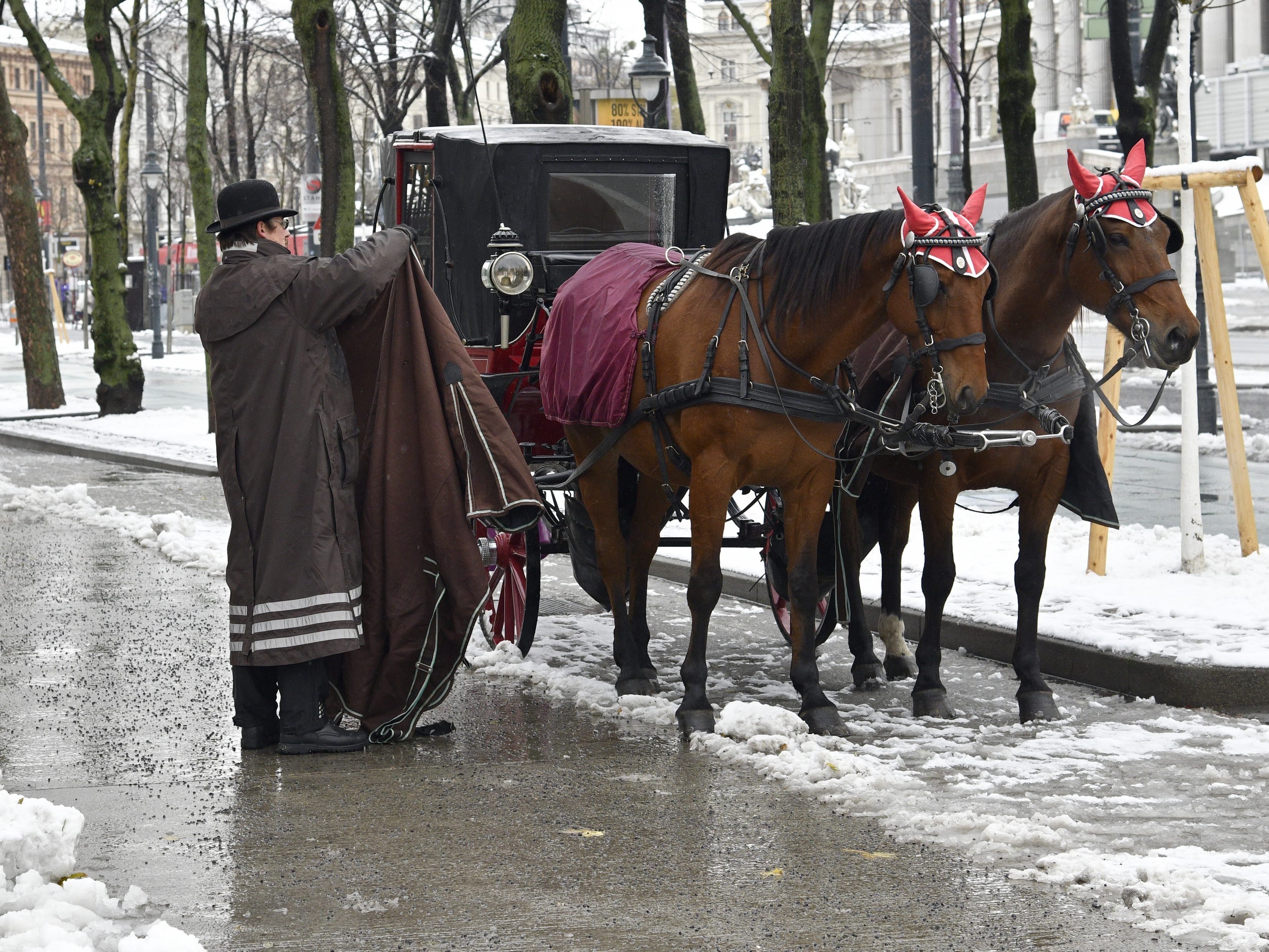 Auch im Flachland und in Wien wird es am Wochenende etwas winterlicher. Auch im Flachland und in Wien wird es am Wochenende etwas winterlicher.