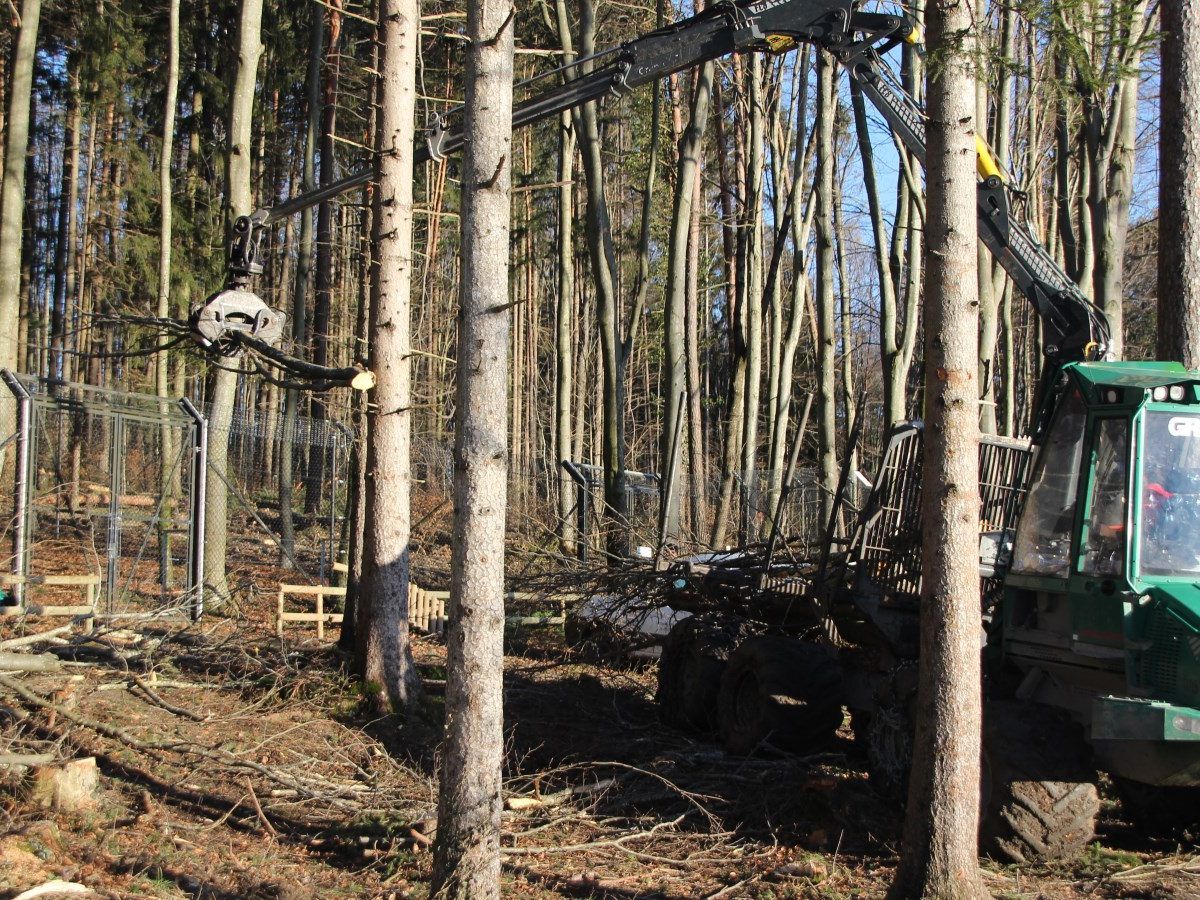 Auch die jüngsten Stürme verursachten Schäden.