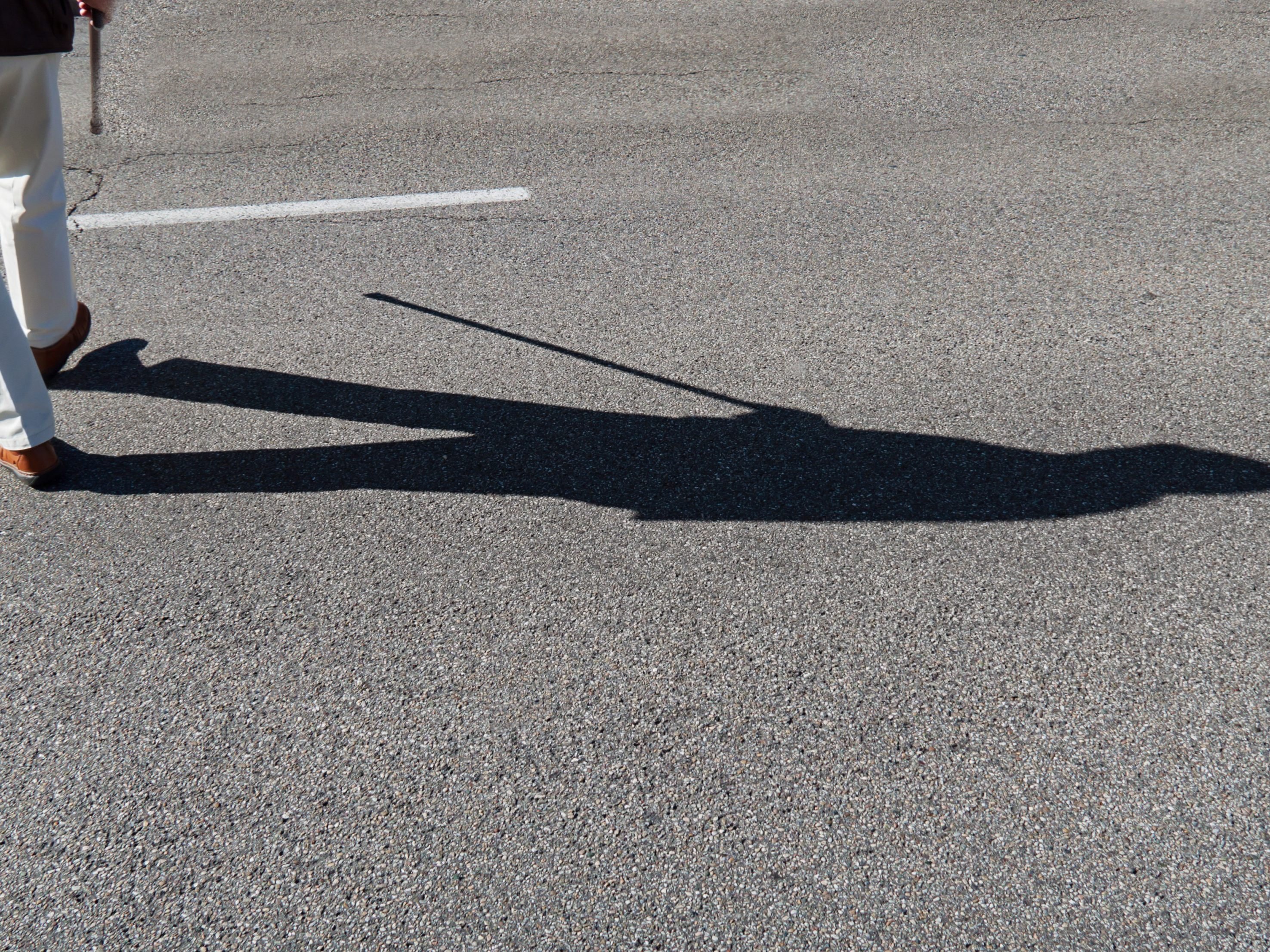 Die Fußgängerin wurde beim Überqueren der Straße von einem Pkw erfasst.