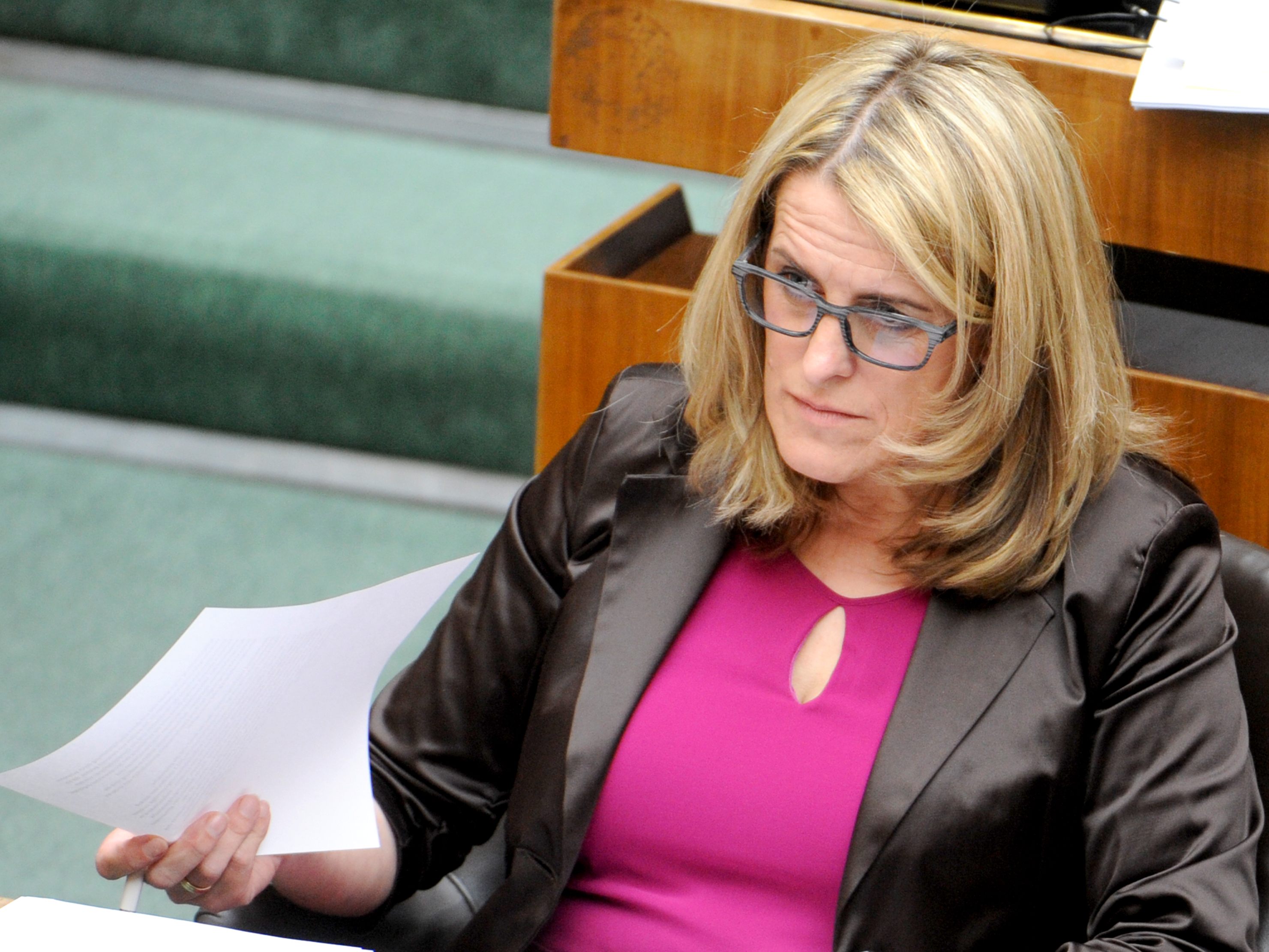 SPÖ-Familiensprecherin Königsberger-Ludwig ist gespannt, wie die offizielle Stellungnahme lauten wird.