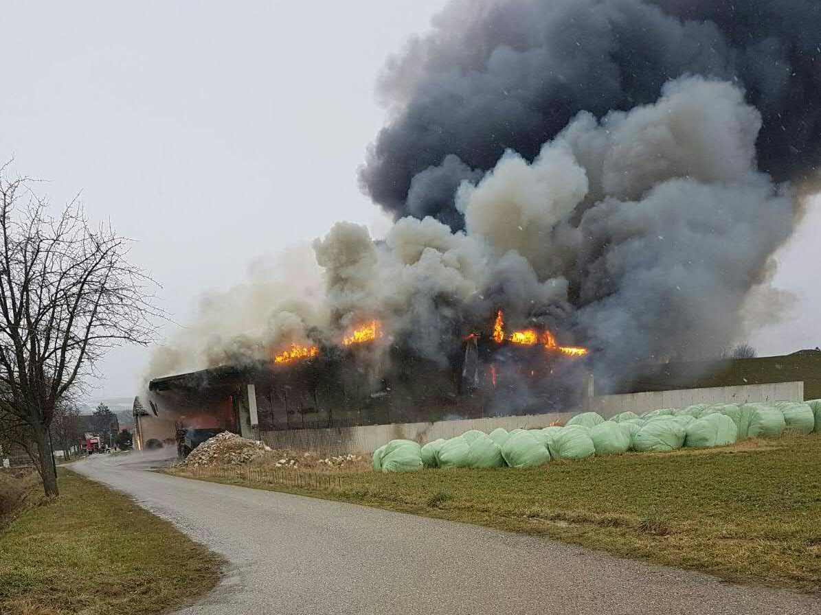 Nach dem Brand in Korneuburg gibt es einen Toten und zwei Vermisste. Nach dem Brand in Korneuburg gibt es einen Toten und zwei Vermisste.