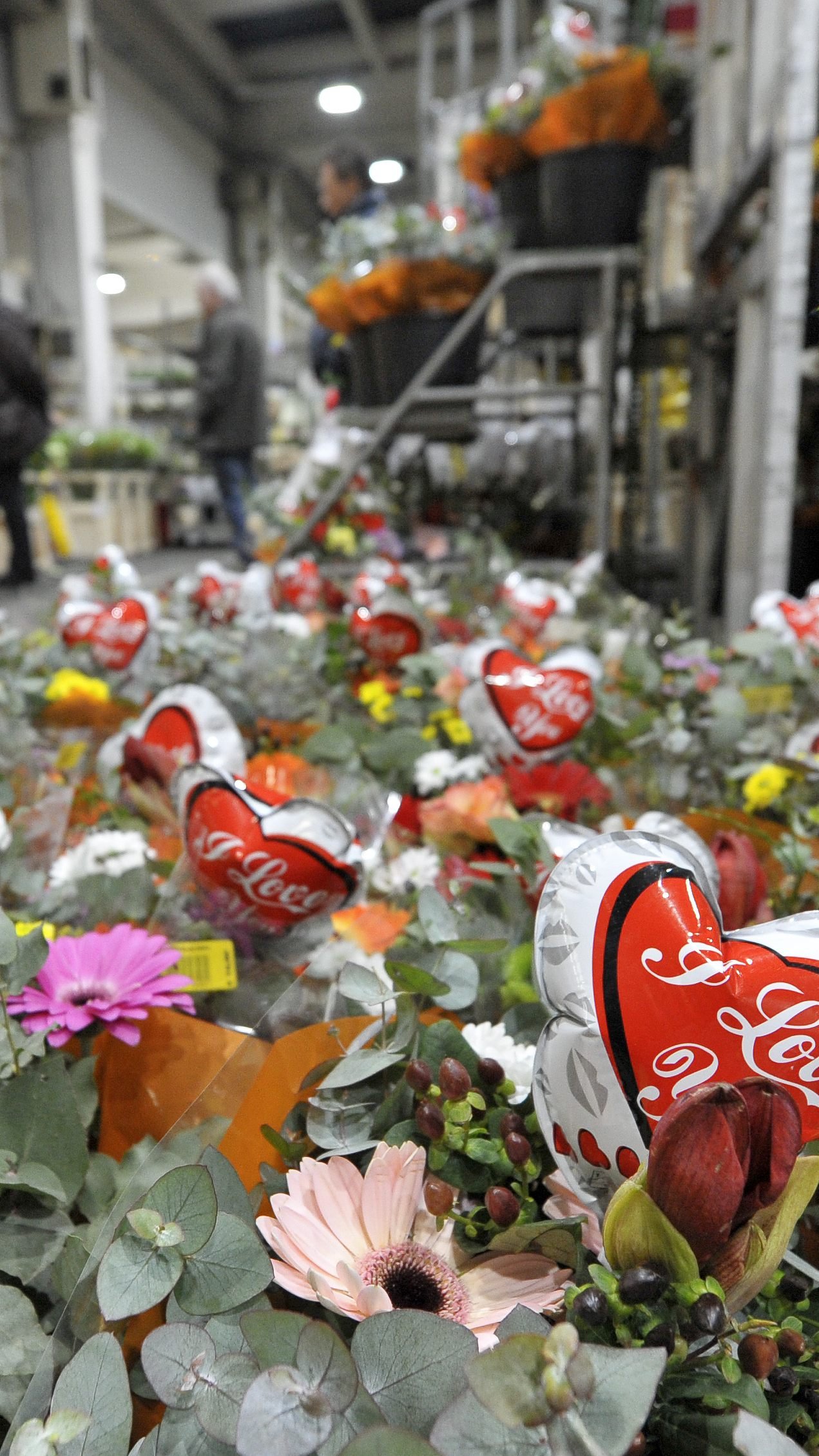 Sieben Millionen Blumen kaufen alleine die Wiener zum Valentinstag.