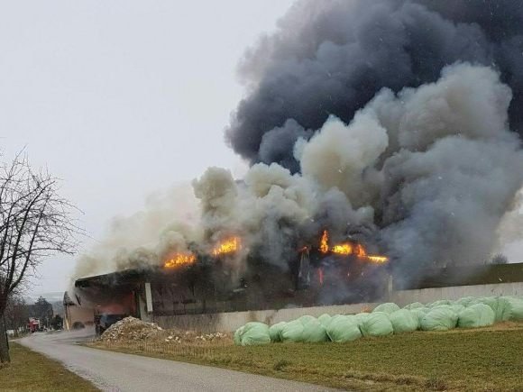 Ermittlungen der Polizei führten zur Brandursache Ermittlungen der Polizei führten zur Brandursache